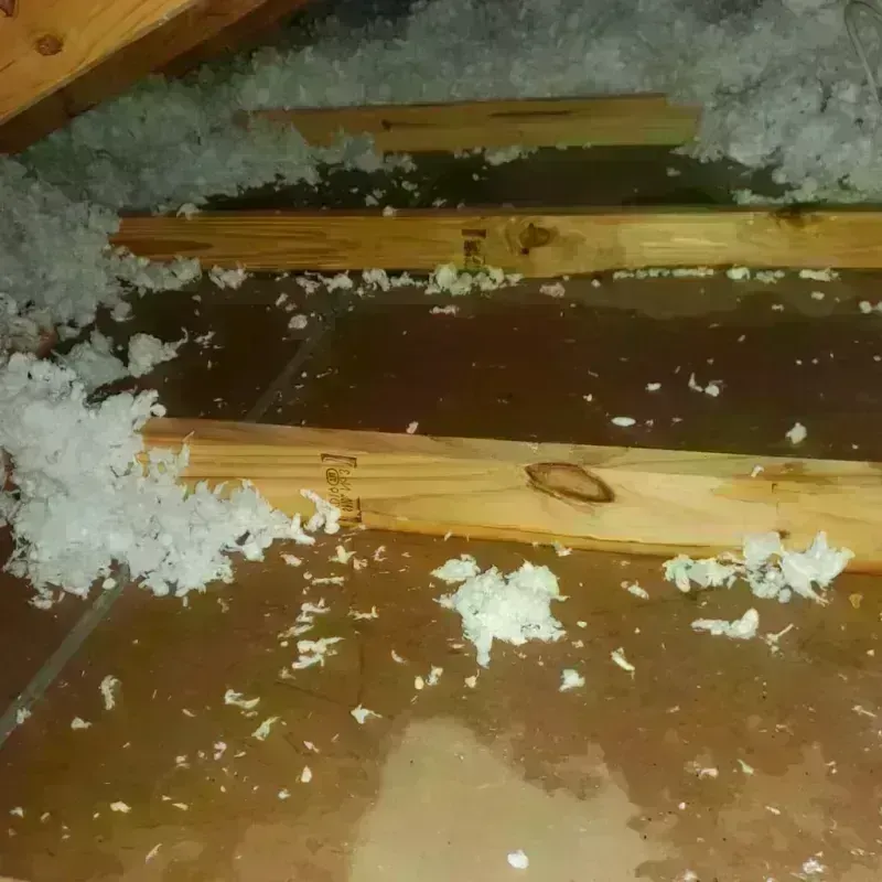 Attic Water Damage in Horse Cave, KY